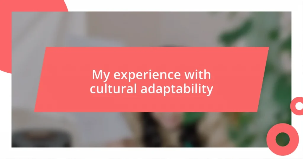 My experience with cultural adaptability